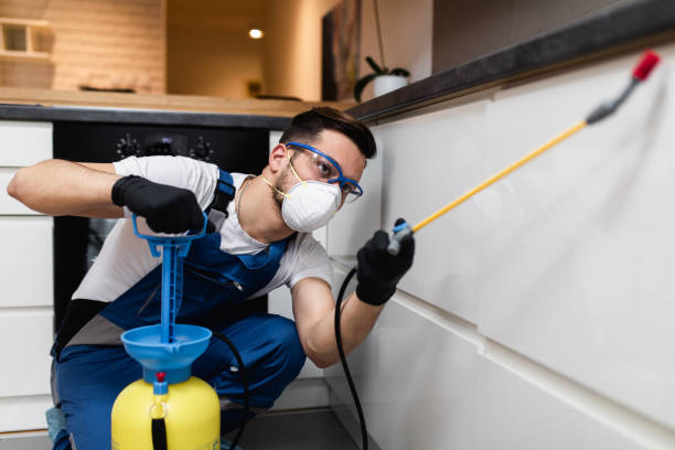 Trusted Schertz, TX Pest Control Experts