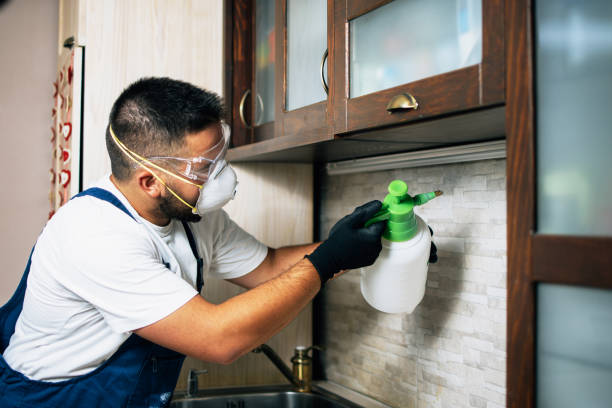 Best Cockroach Control Services  in Schertz, TX