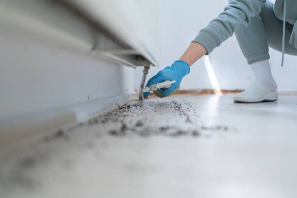 Best Best Pest Control Companies  in Schertz, TX